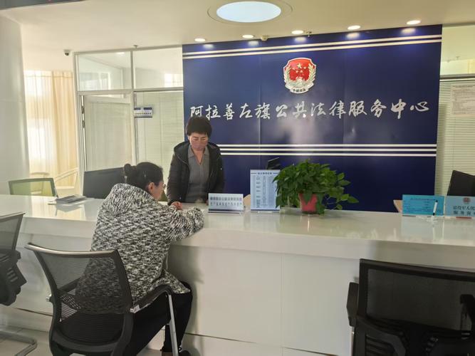 律动护营商 益企向未来——专业法律咨询服务助力企业行稳致远